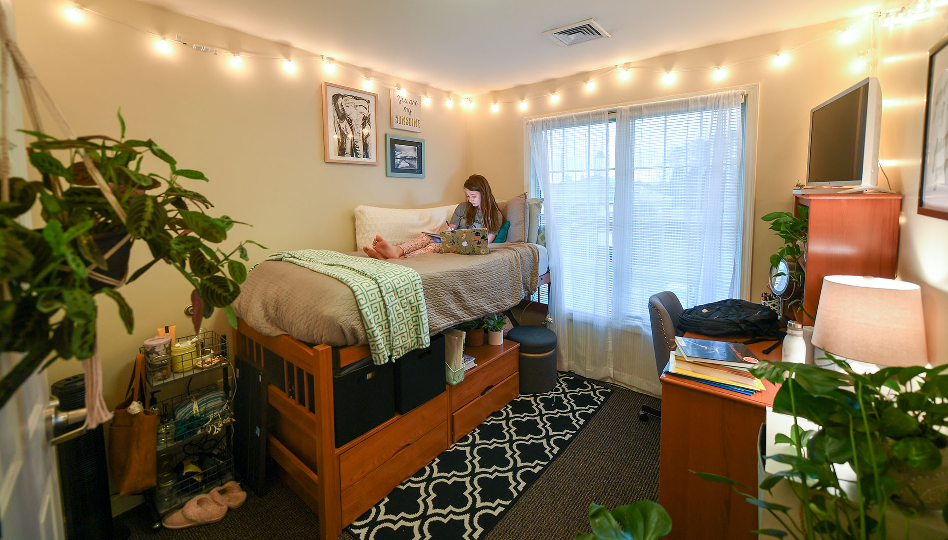             Top 7 Tips for Decorating Your Dorm Room     